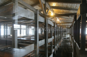 KZ Sachsenhausen 004