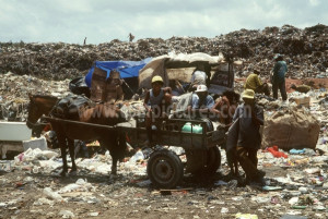 Mit UNICEF bei Brasiliens Müllsammlern 006